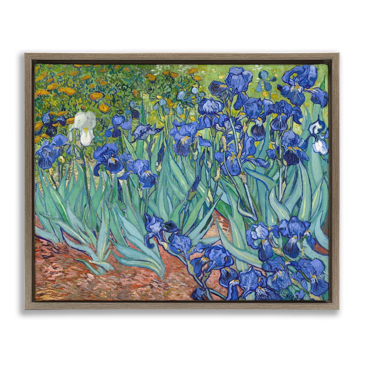 Stupell Industries Classic Van Gogh Irises Framed Floater Canvas Wall Art Design by one1000paintings